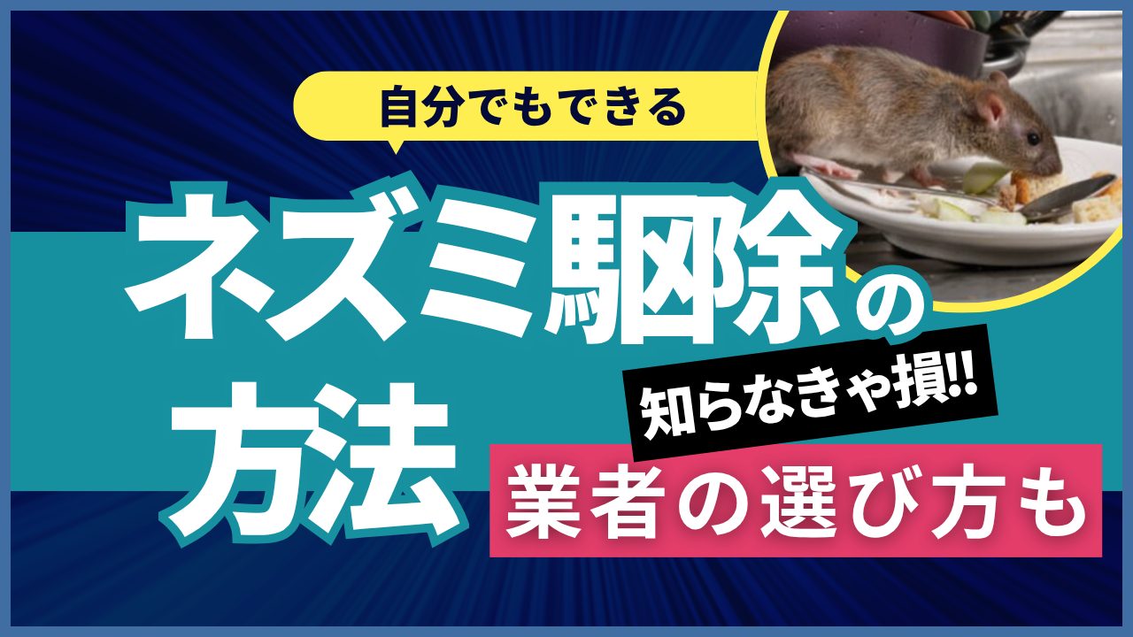 ネズミ除去サムネイル