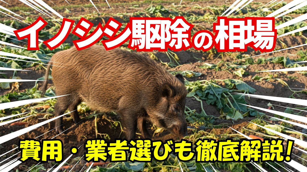 イノシシ駆除サムネイル