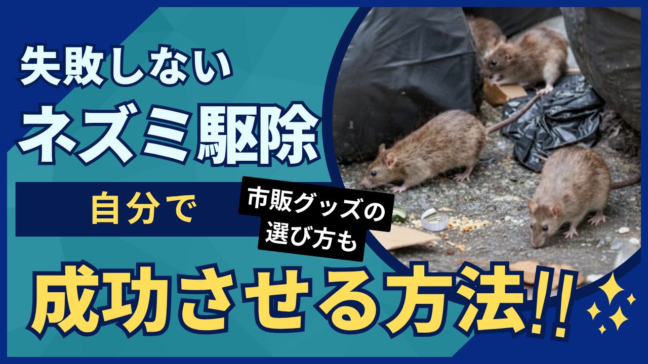 ネズミ駆除 自力のサムネイル